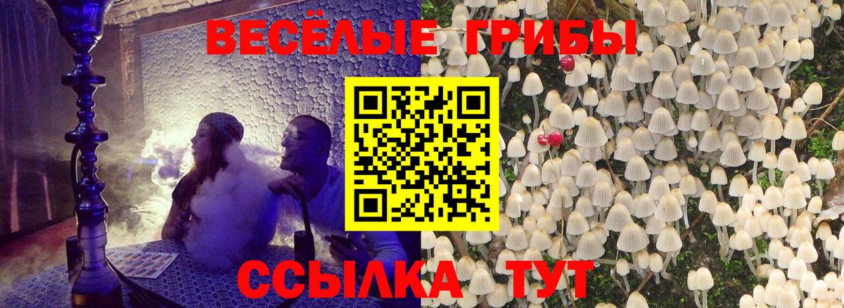 Галлюциногенные грибы Cubensis Еманжелинск