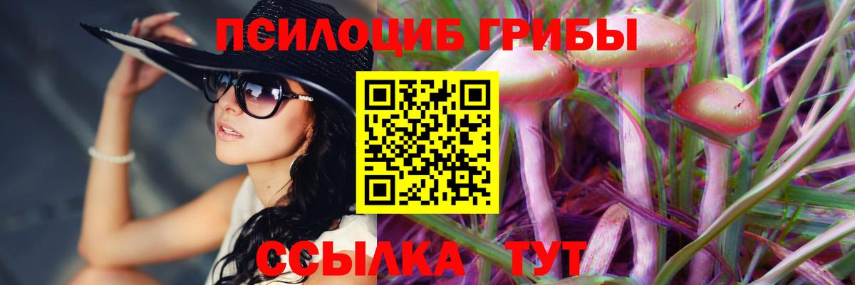 Галлюциногенные грибы Psilocybine cubensis  Вход с VPN  Еманжелинск 
